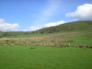 chrome hill 1