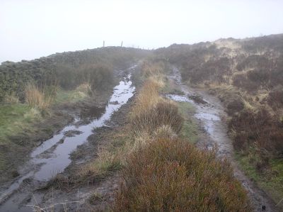 gradbach