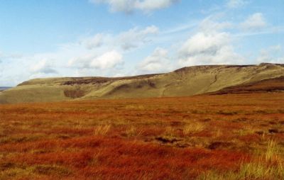 moorland