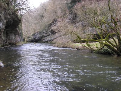 wyedale