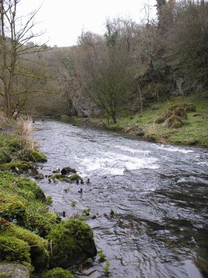 wyedale